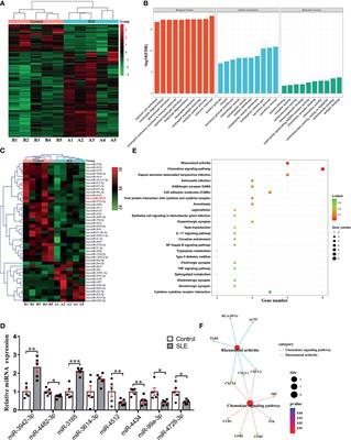 Decreased miR-4512 Levels in Monocytes and Macrophages of Individuals With Systemic Lupus Erythematosus Contribute to Innate Immune Activation and Neutrsophil NETosis by Targeting TLR4 and CXCL2